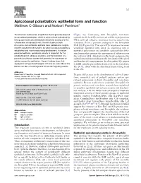 2003 Cell Bio Gibson.Pdf