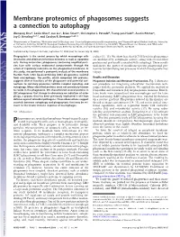 Membrane Proteomics of Phagosomes Suggests a Connection to Autophagy