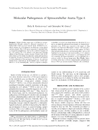 Molecular Pathogenesis of Spinocerebellar Ataxia Type 6