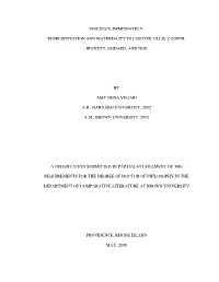 Representation and Materiality in Coetzee, Ellis, Cooper