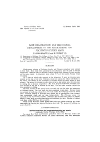 Raid Organization and Behavioral Development in the Slave-Making Ant Polyergus Lucidus Mayr E