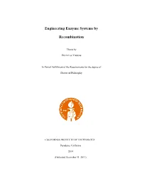 Engineering Enzyme Systems by Recombination