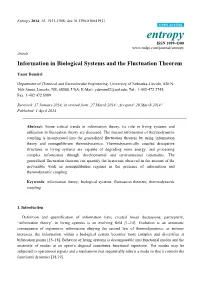 Information in Biological Systems and the Fluctuation Theorem