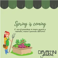 Spring Is Coming