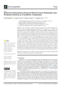 Behavioral Interactions Between Bacterivorous Nematodes and Predatory Bacteria in a Synthetic Community