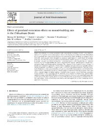 Effects of Grassland Restoration Efforts on Mound-Building Ants in the Chihuahuan Desert