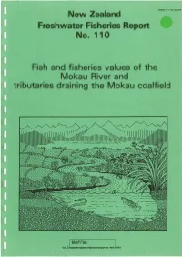 Mokau River and Tributaries Draining the Mokau Coalfield