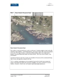 PDZ1 Final Report Intro