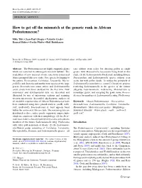 How to Get Off the Mismatch at the Generic Rank in African Podostemaceae?