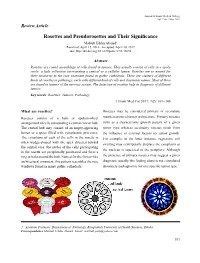 Rosettes and Pseudorosettes and Their Significance