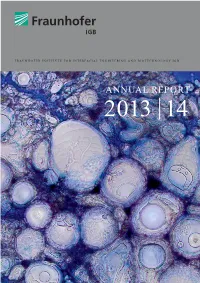 ANNUAL REPORT 2013 | 14 the Cover Picture Shows Giant Unilamellar Vesicles of Different Sizes in a Solution Stained with Trypan Blue