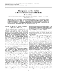 Phylogenesis and the System of the Cambrian Univalved Mollusks P