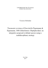 Siluriformes: Heptapteridae): an Integrative Proposal to Delimit Species Using a Multidisciplinary Strategy