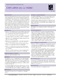 CAP2 Sirna (M): Sc-142002