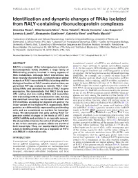 Identification and Dynamic Changes of Rnas Isolated from RALY