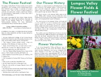Lompoc Flower Field
