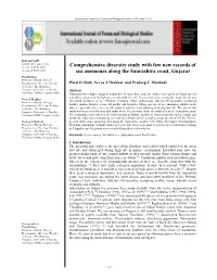 Comprehensive Diversity Study with Few New Records of Sea Anemones