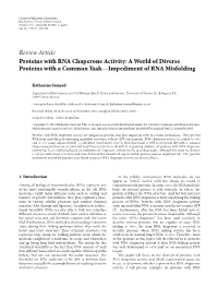 Review Article Proteins with RNA Chaperone Activity: a World of Diverse Proteins with a Common Task—Impediment of RNA Misfolding