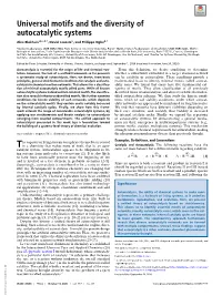 Universal Motifs and the Diversity of Autocatalytic Systems