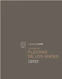 Flechas De Los Andes