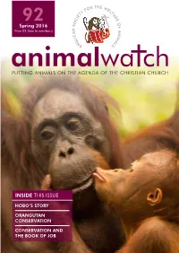 Inside This Issue