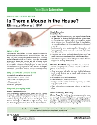 Is There a Mouse in the House? Eliminate Mice with IPM
