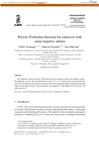 Perron–Frobenius Theorem for Matrices with Some Negative Entries