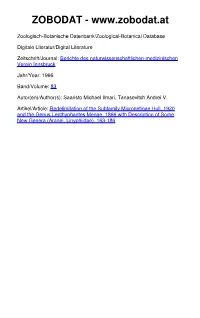 Redelimitation of the Subfamily Micronetinae HULL, 1920 and the Genus Lepthyphantes MENGE, 1866 with Descriptions of Some New Genera (Aranei, Linyphiidae)