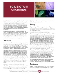 Soil Biota in Orchards