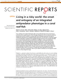 The Onset and Ontogeny of an Integrated Antipredator