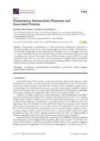 Deimination, Intermediate Filaments and Associated Proteins