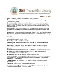 Glossary of Terms Handout