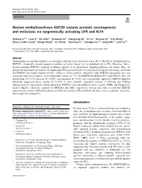 Histone Methyltransferase KMT2D Sustains Prostate Carcinogenesis and Metastasis Via Epigenetically Activating LIFR and KLF4