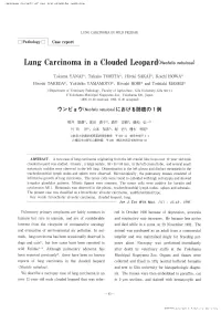 Lung Carcinoma in a Clouded Leopard（N，。 F，Li、