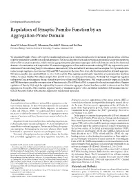 Regulation of Synaptic Pumilio Function by an Aggregation-Prone Domain