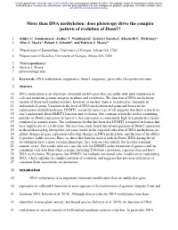 More Than DNA Methylation: Does Pleiotropy Drive the Complex Pattern of Evolution of Dnmt1?