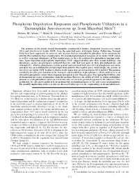 Phosphorus Deprivation Responses and Phosphonate Utilization in a Thermophilic Synechococcus Sp