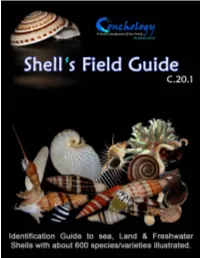 Shell's Field Guide C.20.1 150 FB.Pdf