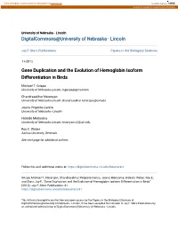 Gene Duplication and the Evolution of Hemoglobin Isoform Differentiation in Birds