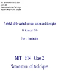 Introduction to CNS: Anatomical Techniques