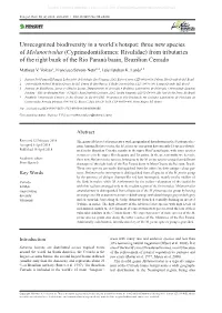 Unrecognized Biodiversity in a World's Hotspot: Three New Species Of