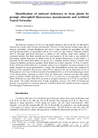 Identification of Nutrient Deficiency in Bean Plants by Prompt Chlorophyll Fluorescence Measurements and Artificial Neural Networks