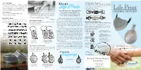 Life Prints Sizes Are Available from 3.5 to 16 and Are Available in Two CUSTOM ENGRAVING INCLUDED Width Sizes: 6Mm Ring 32-406, and 8Mm Ring 32-408