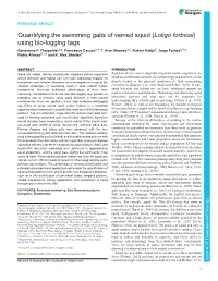 Quantifying the Swimming Gaits of Veined Squid (Loligo Forbesii) Using Bio-Logging Tags Genevieve E