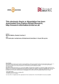 This Electronic Thesis Or Dissertation Has Been Downloaded from Explore Bristol Research