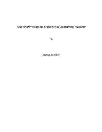 A Novel Phytochrome Sequence in Ceratopteris Richardii by Brian
