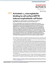 Activated Α2-Macroglobulin Binding to Cell Surface GRP78 Induces Trophoblastic Cell Fusion
