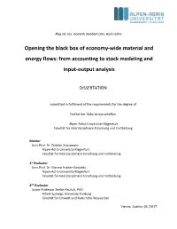 Opening the Black Box of Economy-Wide Material and Energy Flows: from Accounting to Stock Modeling and Input-Output Analysis