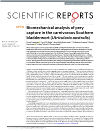 Biomechanical Analysis of Prey Capture in the Carnivorous Southern