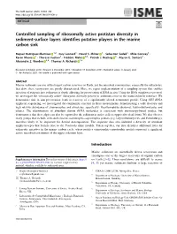 Controlled Sampling of Ribosomally Active Protistan Diversity in Sediment-Surface Layers Identiﬁes Putative Players in the Marine Carbon Sink